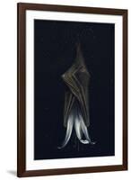 Mutated lily-Johan Lilja-Framed Premium Giclee Print