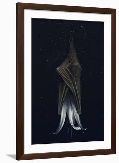 Mutated lily-Johan Lilja-Framed Premium Giclee Print