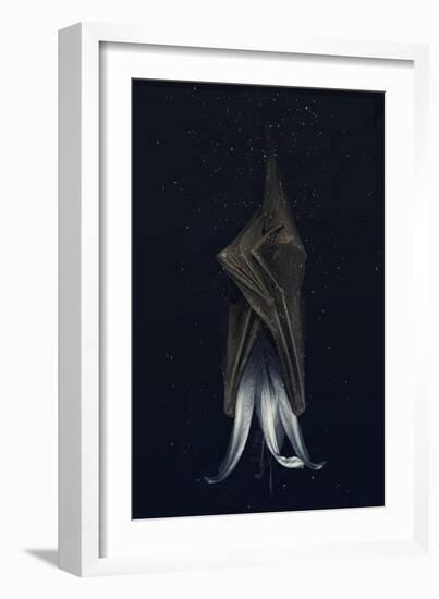 Mutated lily-Johan Lilja-Framed Giclee Print