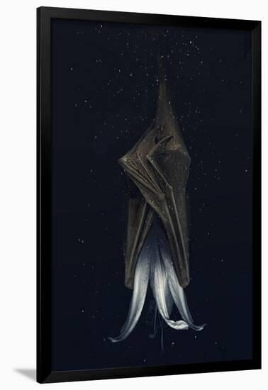 Mutated lily-Johan Lilja-Framed Giclee Print