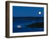 Mute Swan before Sunrise with Full Moon, Hornborgasjon Lake, Sweden-Inaki Relanzon-Framed Photographic Print