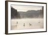 Mute Swan (Cygnus Olor) on Water in Winter Dawn Mist, Loch Insh, Cairngorms Np, Scotland, December-Peter Cairns-Framed Photographic Print