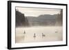 Mute Swan (Cygnus Olor) on Water in Winter Dawn Mist, Loch Insh, Cairngorms Np, Scotland, December-Peter Cairns-Framed Photographic Print