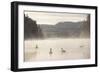 Mute Swan (Cygnus Olor) on Water in Winter Dawn Mist, Loch Insh, Cairngorms Np, Scotland, December-Peter Cairns-Framed Photographic Print