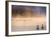 Mute Swan (Cygnus Olor) Pair on Misty Lake-Edwin Giesbers-Framed Photographic Print