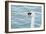 Mute Swan Head-tigidal-Framed Photographic Print