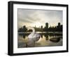 Mute Swan, Lost Lagoon, Stanley Park, British Columbia, Canada-Paul Colangelo-Framed Photographic Print