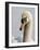 Mute Swan, Vancouver, British Columbia, Canada-Rick A. Brown-Framed Photographic Print