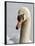 Mute Swan, Vancouver, British Columbia, Canada-Rick A. Brown-Framed Photographic Print