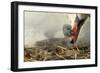 Mute Swan with Young-null-Framed Photographic Print