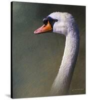 Mute Swan-Chris Vest-Stretched Canvas