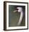 Mute Swan-Chris Vest-Framed Art Print