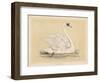 Mute Swan-null-Framed Art Print