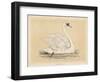 Mute Swan-null-Framed Art Print