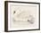 Mute Swan-Reverend Francis O. Morris-Framed Art Print