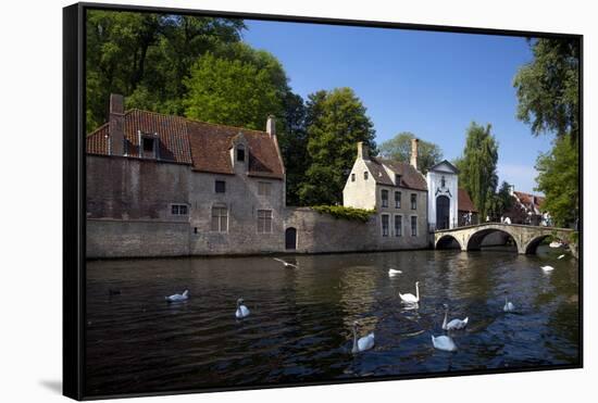 Mute swans (Cygnus olor), at the Minnewater Lake and Begijnhof Bridge with entrance to Beguinage, B-Peter Barritt-Framed Stretched Canvas