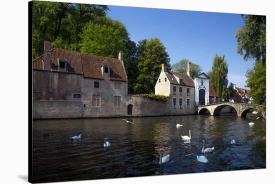Mute swans (Cygnus olor), at the Minnewater Lake and Begijnhof Bridge with entrance to Beguinage, B-Peter Barritt-Stretched Canvas