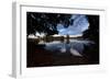 Mute Swans, Cygnus Olor, by Pen Ponds on an Autumn Morning in Richmond Park-Alex Saberi-Framed Photographic Print