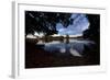 Mute Swans, Cygnus Olor, by Pen Ponds on an Autumn Morning in Richmond Park-Alex Saberi-Framed Photographic Print