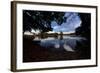 Mute Swans, Cygnus Olor, by Pen Ponds on an Autumn Morning in Richmond Park-Alex Saberi-Framed Photographic Print