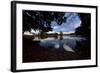 Mute Swans, Cygnus Olor, by Pen Ponds on an Autumn Morning in Richmond Park-Alex Saberi-Framed Photographic Print