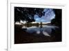 Mute Swans, Cygnus Olor, by Pen Ponds on an Autumn Morning in Richmond Park-Alex Saberi-Framed Photographic Print