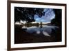 Mute Swans, Cygnus Olor, by Pen Ponds on an Autumn Morning in Richmond Park-Alex Saberi-Framed Photographic Print