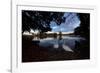 Mute Swans, Cygnus Olor, by Pen Ponds on an Autumn Morning in Richmond Park-Alex Saberi-Framed Photographic Print