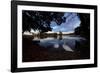 Mute Swans, Cygnus Olor, by Pen Ponds on an Autumn Morning in Richmond Park-Alex Saberi-Framed Photographic Print