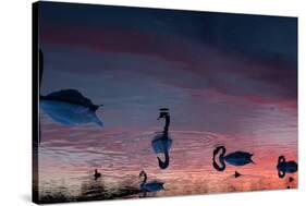 Mute Swans, Cygnus Olor, Swim on Pen Ponds at Sunset in Richmond Park-Alex Saberi-Stretched Canvas