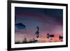 Mute Swans, Cygnus Olor, Swim on Pen Ponds at Sunset in Richmond Park-Alex Saberi-Framed Photographic Print