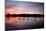 Mute Swans, Cygnus Olor, Swim on Pen Ponds at Sunset in Richmond Park-Alex Saberi-Mounted Photographic Print