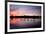 Mute Swans, Cygnus Olor, Swim on Pen Ponds at Sunset in Richmond Park-Alex Saberi-Framed Photographic Print