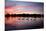 Mute Swans, Cygnus Olor, Swim on Pen Ponds at Sunset in Richmond Park-Alex Saberi-Mounted Photographic Print