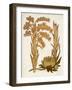 Muted Botanicals II-Curtis-Framed Art Print