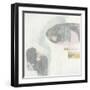 Muted Clusters II-Jennifer Goldberger-Framed Art Print