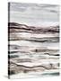 Muted Earth Layers I-Nikki Galapon-Stretched Canvas