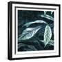 Muted Leaves-Milli Villa-Framed Art Print