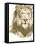 Muted Lion-Patricia Pinto-Framed Stretched Canvas