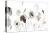 Muted Poppies-Lanie Loreth-Stretched Canvas