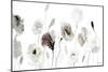 Muted Poppies-Lanie Loreth-Mounted Premium Giclee Print