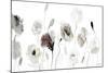 Muted Poppies-Lanie Loreth-Mounted Art Print