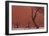 Muted Rust Colored Dunes, Silhouettes Of Dead Acacia Trees Of Deadvlei Pan, Abstract Landscapes-Karine Aigner-Framed Photographic Print