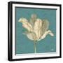 Muted Teal Behind Tulip-Diane Stimson-Framed Art Print