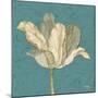 Muted Teal Behind Tulip-Diane Stimson-Mounted Art Print