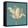 Muted Teal Behind Tulip-Diane Stimson-Framed Stretched Canvas