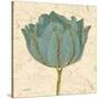 Muted Teal Tulip 1-Diane Stimson-Stretched Canvas