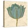 Muted Teal Tulip 1-Diane Stimson-Stretched Canvas