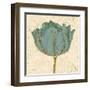 Muted Teal Tulip 1-Diane Stimson-Framed Art Print