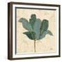 Muted Teal Tulip 2-Diane Stimson-Framed Art Print